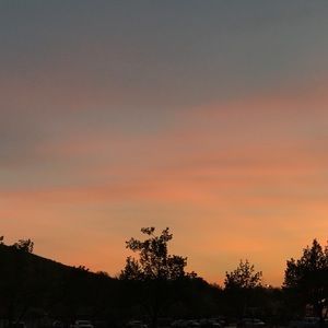 Meet your Posher, Anni